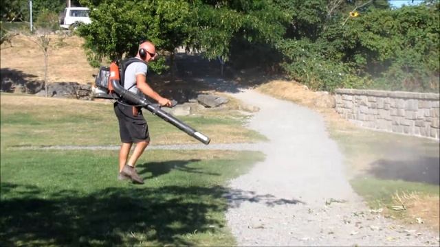 Banana Joe Cleaning Up at Rotary Marine Park смотреть онлайн