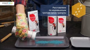 Муравьед Супер - средство от садовых и домовых муравьев. Инструкция и особенности применения.