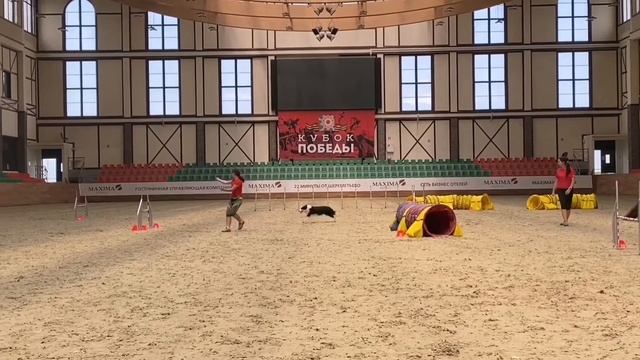 Флора 2,5 года смотреть онлайн