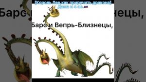 Кто ты по знаку зодиак из «Как приручить дракона»