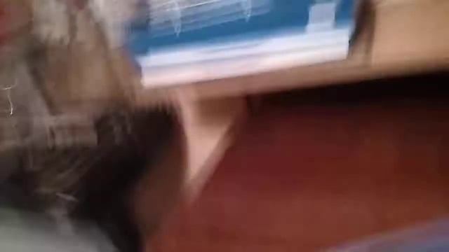 Арчи с вами не забывайте смотреть онлайн