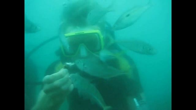 BROOK - Декабрь (Mood video 2021) смотреть онлайн