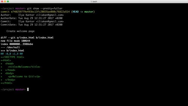 2.4 Git – Основы – Git show, кто такие автор и коммиттер смотреть онлайн