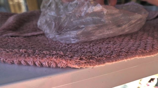 ПОСЕВ СЕМЯН ГЕРБЕРА ГОРШЕЧНАЯ. смотреть онлайн