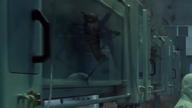 Simba, Timon and Pumbaa eat Jurassic World Locusts. смотреть онлайн