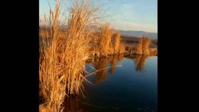 Debeda18.01.14 смотреть онлайн