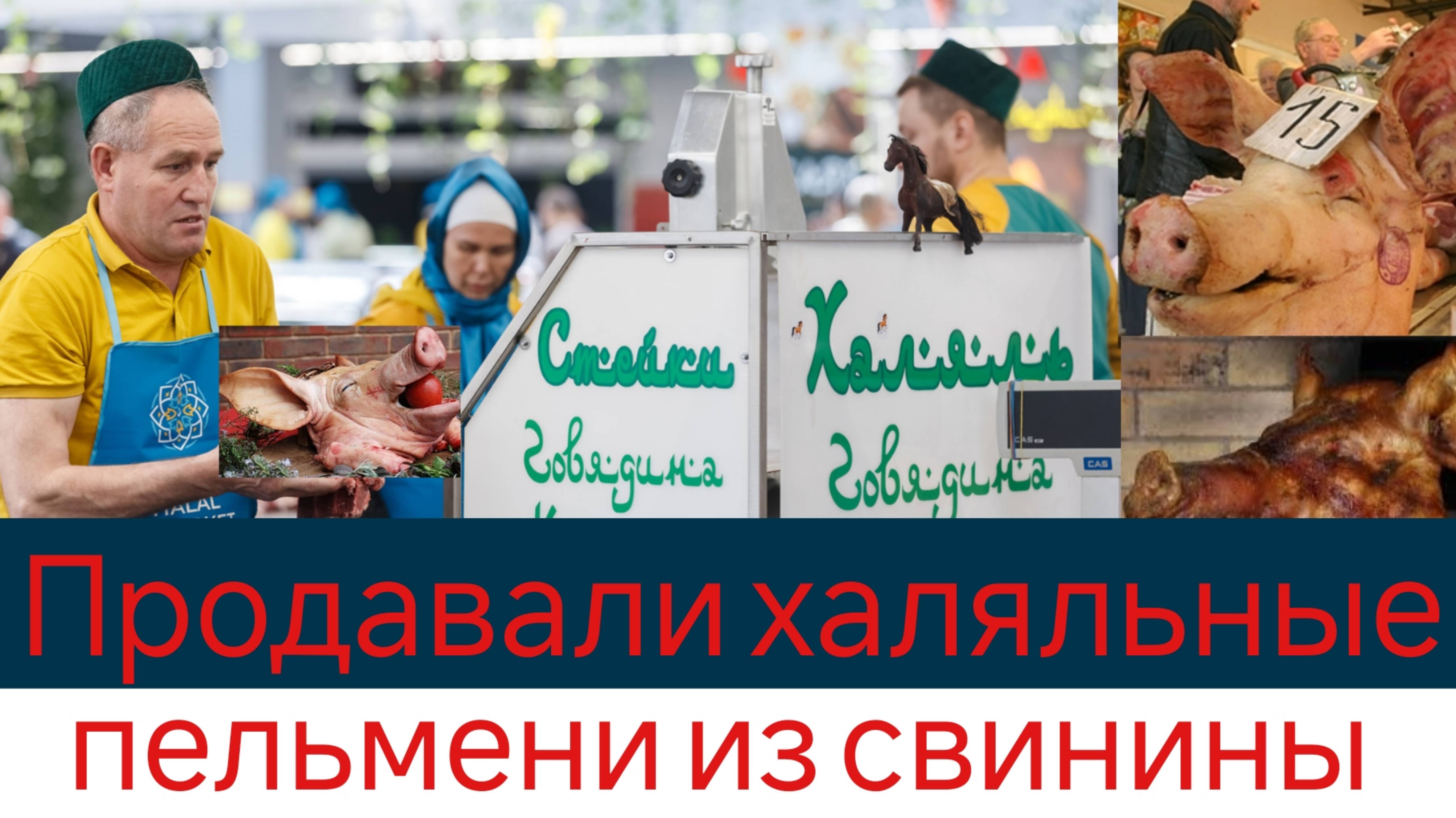 Продавали халяльные пельмени из свинины смотреть онлайн