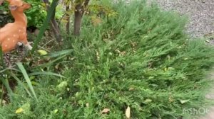 Листва. Как быстро собрать и измельчить