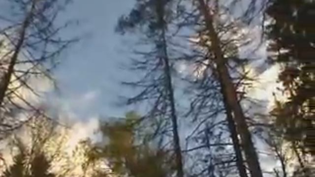 koroed0000 смотреть онлайн
