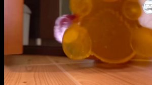 желейный медведь Валера и желтобрюх