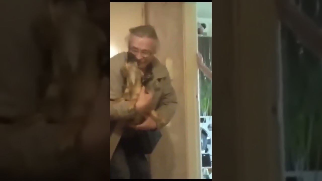 Приехал ! смотреть онлайн