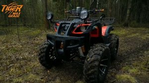 Квадроцикл Tiger 300