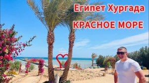 Летим в Египет на Красное море, Хургада.