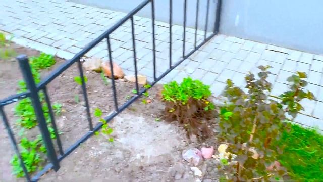 МАМА ВСТУПИЛА В СЕКТУ! ВЛОГ. смотреть онлайн