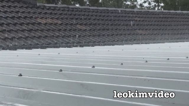 Two 'NORMAL' Summer Storms Two Redback Spiders EDUCATIONAL VIDEO смотреть онлайн