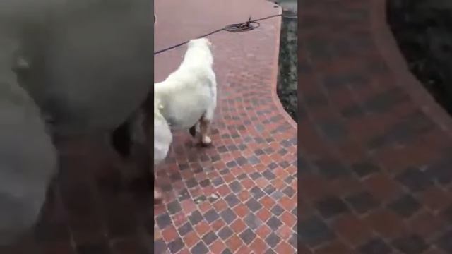 TSYM3651 смотреть онлайн