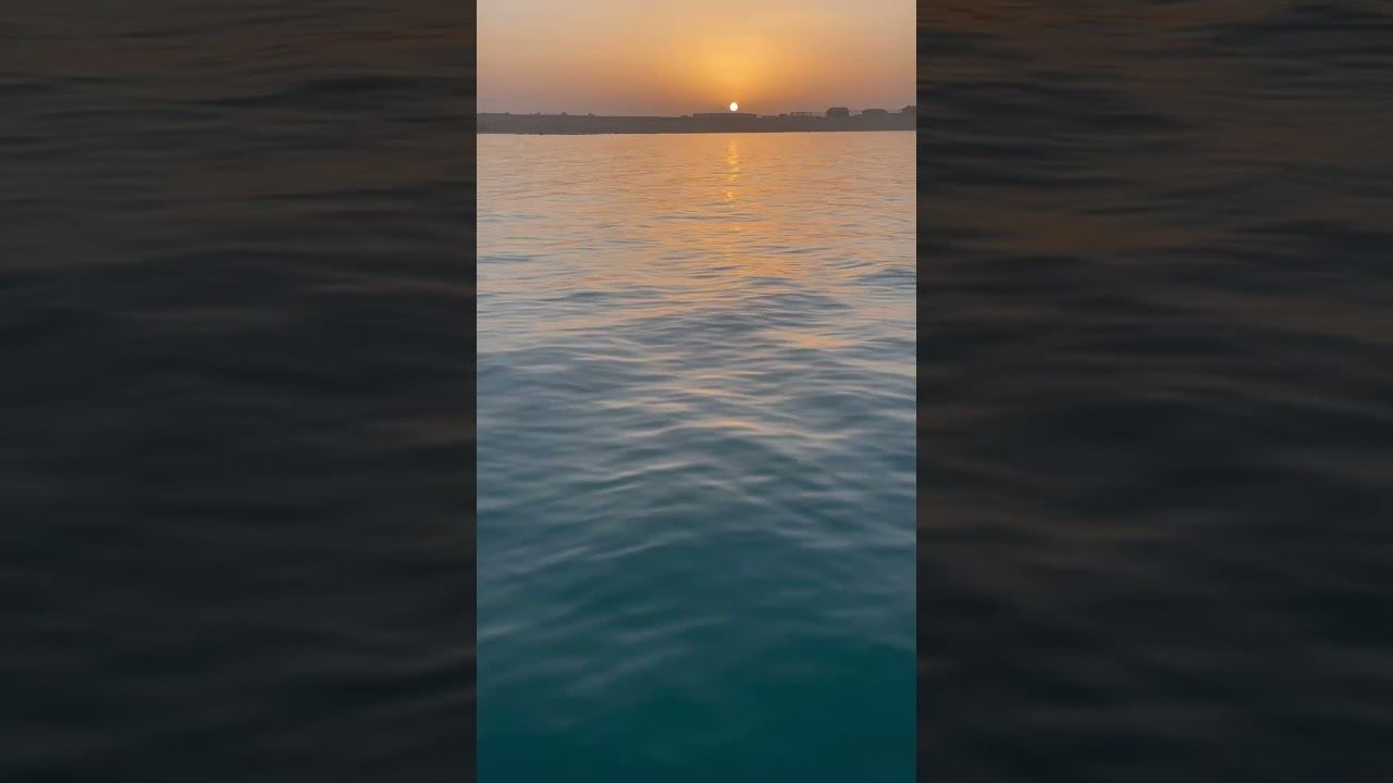 Египет, Красное море на закате, рыба. смотреть онлайн