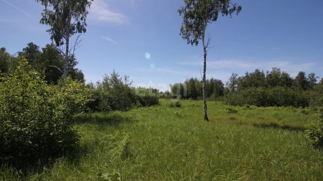 видео12 смотреть онлайн