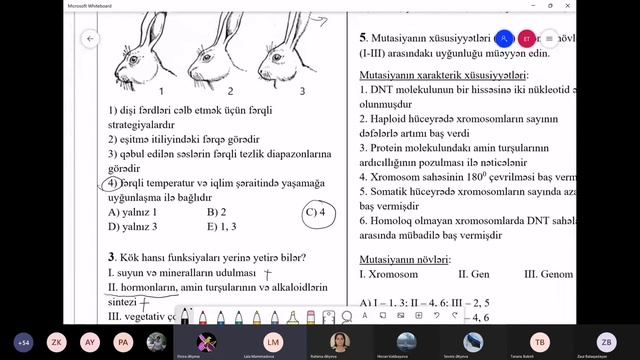 Biologiya RFO suallarının həlli - 2.təlim смотреть онлайн