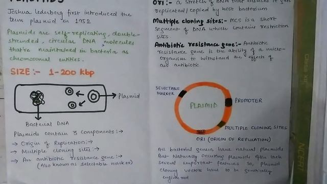 Plasmid as a Cloning vector смотреть онлайн