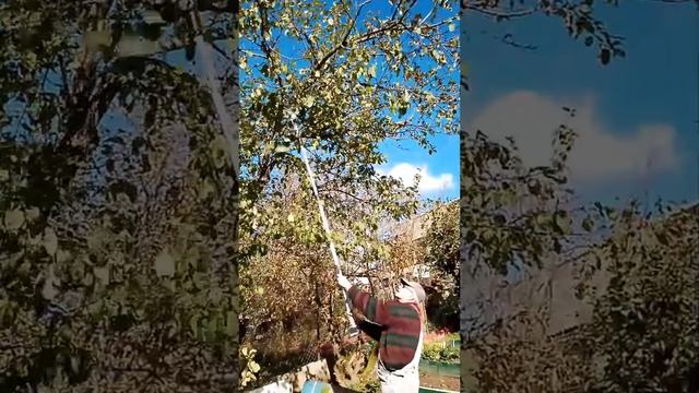 отзыв 3 смотреть онлайн