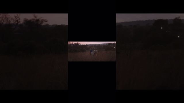 https://t.me/besttelega_film смотреть онлайн