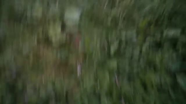 25 июля 2022 г. смотреть онлайн