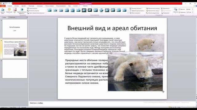 Создание презентаций Обработка графической информации смотреть онлайн