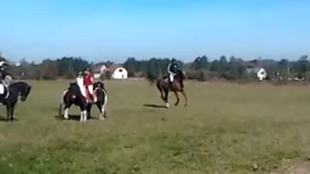 Hubertka 2.října 2013 Gagarin смотреть онлайн