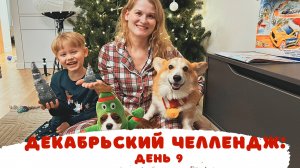 Декабрьские влоги: Лапакюр и Необычные Ёлки