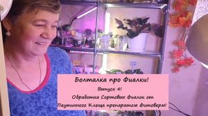 Болталка про Фиалки! Выпуск 4: Обработка Сортовых Фиалок от Паутинного Клеща препаратом Фитоверм!