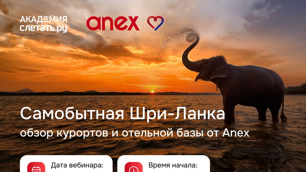 Самобытная Шри-Ланка: обзор курортов и отельной базы. Вебинар 10.12.24 смотреть онлайн