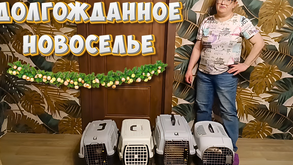 Долгожданное новоселье. смотреть онлайн