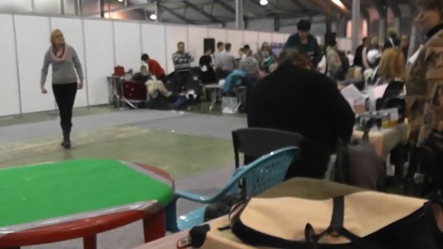 Региональная выставка собак, клуб 