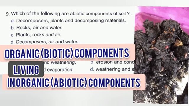 grade6 2nd term science answers of school book questions on unit 4 смотреть онлайн
