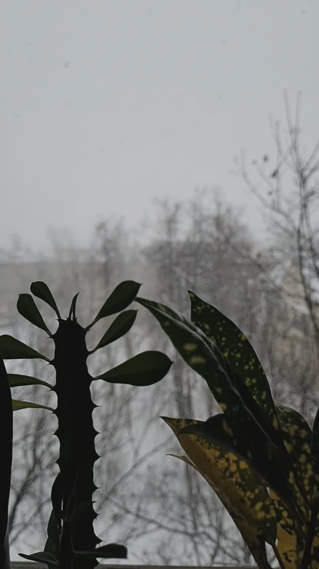 Просто идёт снег