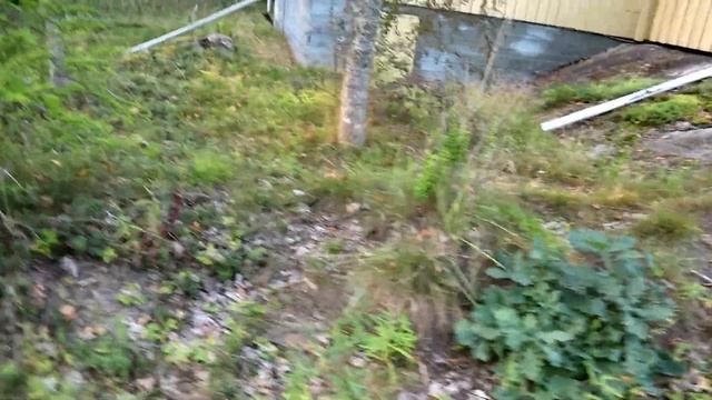 Я это сделала! Меняю права! Новая супер камера! Очумелые ручки! смотреть онлайн