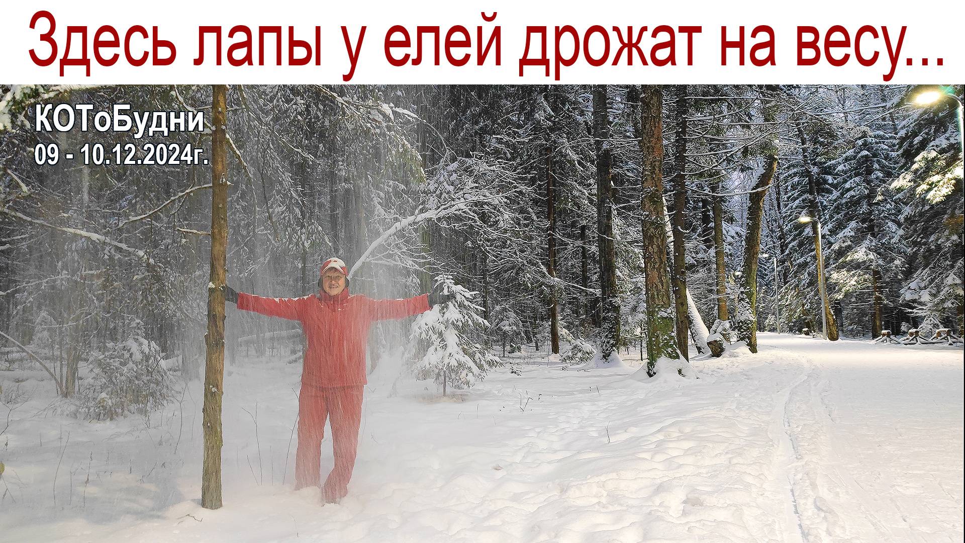 Серебром леса оделись, снег искрится голубой, прогуляться захотелось... или КОТоБудни от 10.12.2024 смотреть онлайн