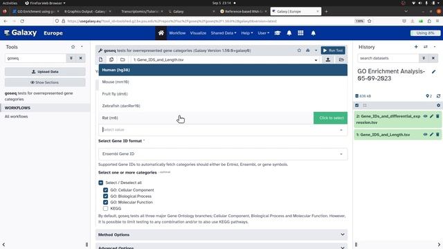 Galaxy Tutorial on RNA Seq GO Gene Ontology Enrichment Analysis - Episode-1 смотреть онлайн