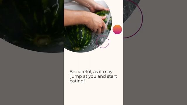 How To Tell Wild Animals Grade 10 CBSE English Poetry 3 смотреть онлайн