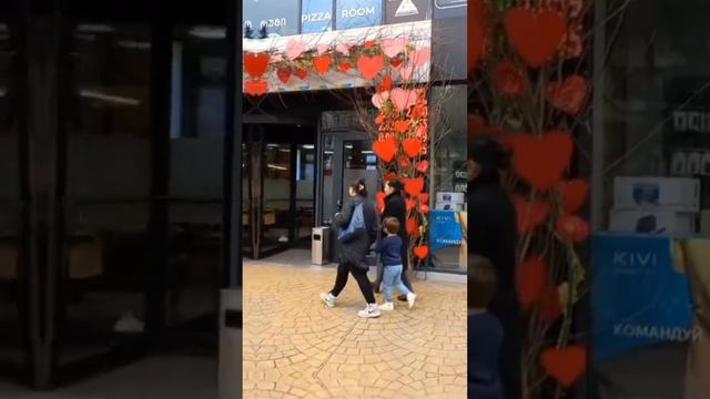 В г.Батуми в феврале цветет магнолия, мимоза, камелия. Magnolia and camellia bloom in Batumi. смотреть онлайн