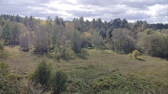 19 .09.2024 год. мой день Лайфстайл смотреть онлайн