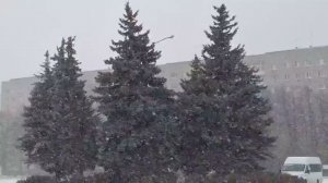 А сегодня наверное чистить придётся