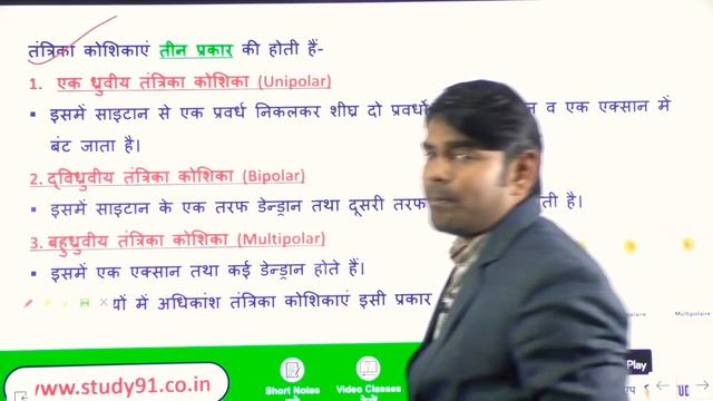 1.Nervous System ( तंत्रिका तंत्र )|Science GK|Biology Classes|Study91|Nitin Sir смотреть онлайн