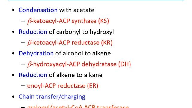 Biochem II Lec 1 смотреть онлайн