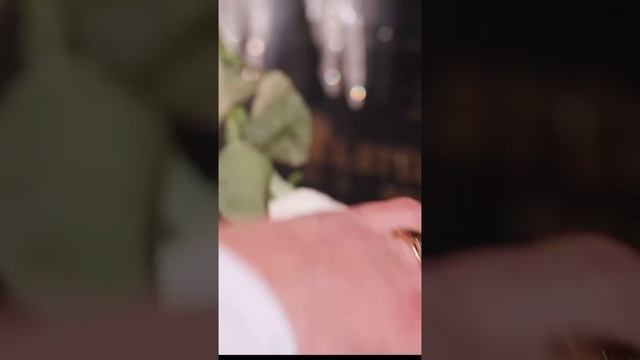 🔥 "ЭТИ БЕЛЫЕ ЦВЕТЫ "🔥 Стихи: Владимир Курочкин Музыка, исп: Григорий Герасимов смотреть онлайн