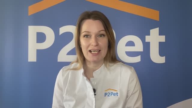 Лучшие российские корма для животных - рейтинг смотреть онлайн