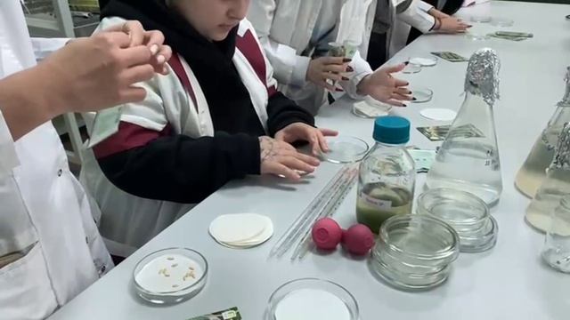 «Методические аспекты использования микроводорослей для стимуляции роста сельскохозяйственных ... смотреть онлайн