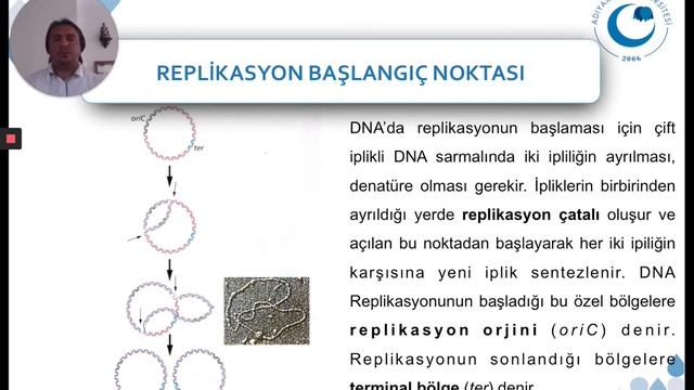 DNA Replikasyonu смотреть онлайн