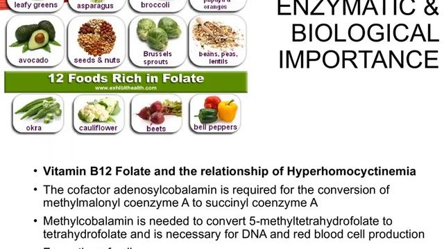 Vitaminquick Reviews - What are Vitamin B12 and its benefits смотреть онлайн